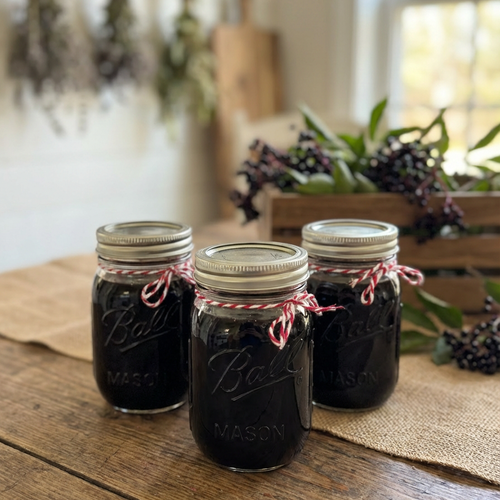 Elderberry Syrup- 16oz Jar; Daily Immune Support