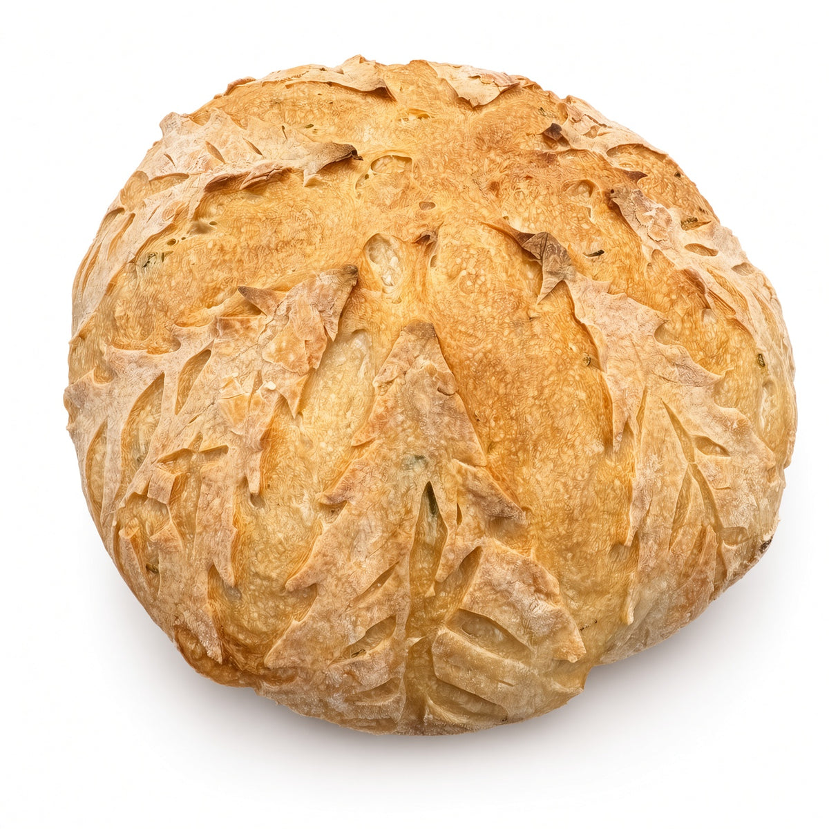 Fresh Baked Sourdough Bread